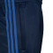 Duge hlače adidas Olympique Lyon 2025. – 2026. posebno izdanje