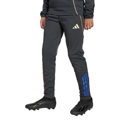 Duge hlače Djeca Olympique Lyon 2025-2026 Trening