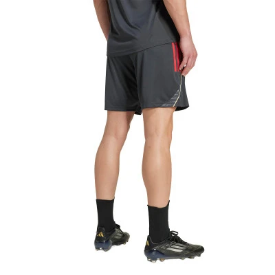 Kratke hlače Olympique Lyon 2025-2026 Trening