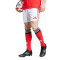 Kratke hlače adidas SLB Benfica 2025-2026 Početna