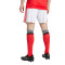 Kratke hlače adidas SLB Benfica 2025-2026 Početna