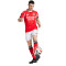 Kratke hlače adidas SLB Benfica 2025-2026 Početna