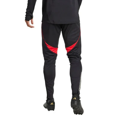 Duge hlače SLB Benfica 2025-2026 Trening