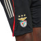 Kratke hlače adidas Djeca SLB Benfica 2025-2026 Trening