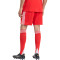 Kratke hlače adidas FC Bayern Primera Equipación 2025-2026