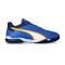 Kopačka Puma Presing IV Trav