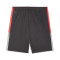 Kratke hlače Puma Individualliga Training Shorts 2 (Open pockets)