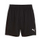 Kratke hlače Puma Individualliga Training Shorts 2 Jr (Open Pockets)