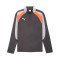 Majica dugih rukava Puma Individualliga 1/4 Zip Top