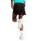 Kratke hlače Puma Run Velocity 3"