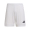 Kratke hlače adidas Squadra 25 II