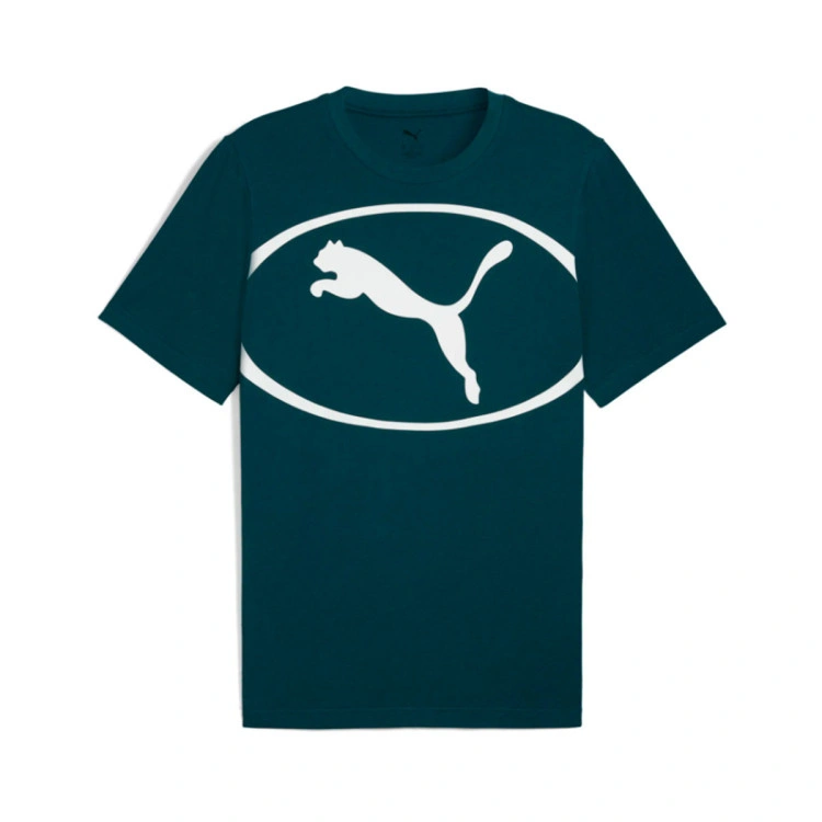 camiseta-puma-sport-graphic-green-terrain-2
