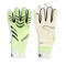 Rukavica adidas Predator Pro