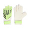 Rukavica adidas Trening predatora