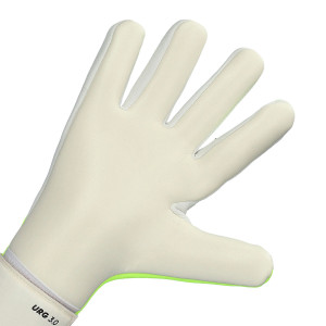 DLAN-1