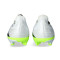 Kopačke adidas Predatorska liga L FG/MG