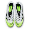 Kopačke adidas Predator Pro L FG
