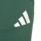 Duge hlače adidas Real Zaragoza Entreno Portero 25-26 Niño