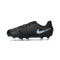 Kopačke Nike Djeca tenisice Legend 10 Academy FG/MG