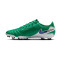 Kopačke Nike Tiempo Legend 10 Academy FG