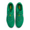 Kopačke Nike Tiempo Legend 10 Academy FG