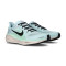 Tenisice Nike Pegasus 41