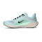 Tenisice Nike Pegasus 41