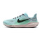 Tenisice Nike Pegasus 41