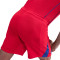 Kratke hlače Nike Psg 2025-2026 Treći