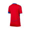 Dres Nike Djeca PSG 2025-2026 Treći