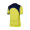 Dres Nike Tottenham Hotspur FC Authentic 2025-2026 Third