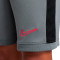 Kratke hlače Nike Academy 25 Niño