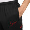 Duge hlače Nike Akademija 25