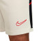 Kratke hlače Nike Akademija 25