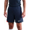 Kratke hlače Nike Dri-Fit Strike