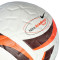 Lopta Nike Academy Plus