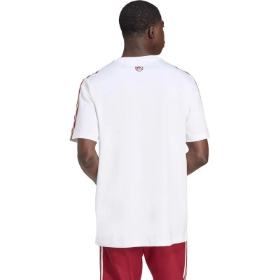 Majica Odjeća za navijače FK ikona 2025. – 2026