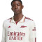Dres adidas Arsenal Fc 2025-2026 L/S Treći
