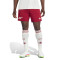 Kratke hlače adidas Arsenal FC 2025-2026 treći Komplet