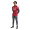 Duge hlače adidas Arsenalov Fc 2025-2026 Trening