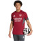 Majica adidas Arsenal FC 2025-2026 Trening