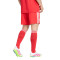 Kratke hlače adidas Fc Bayern 2025-2026 Treći