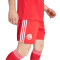 Kratke hlače adidas Fc Bayern 2025-2026 Treći