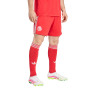 Fc Bayern 2025-2026 Treći-Čisti rubin