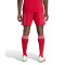 Kratke hlače adidas Liverpool Fc 2025-2026 Domaćin