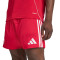 Kratke hlače adidas Liverpool Fc 2025-2026 Domaćin