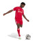 Kratke hlače adidas Liverpool Fc 2025-2026 Domaćin