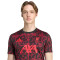 Dres adidas Liverpool Fc Pre-Match 2025-2026