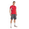 Majica adidas Navijačka odjeća Liverpool FC-a 2025-2026