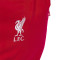 Ruksak adidas Liverpool Fc 2025-2026 (26,94L)